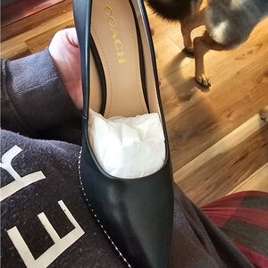 NWT Coach Waverly Black Heels